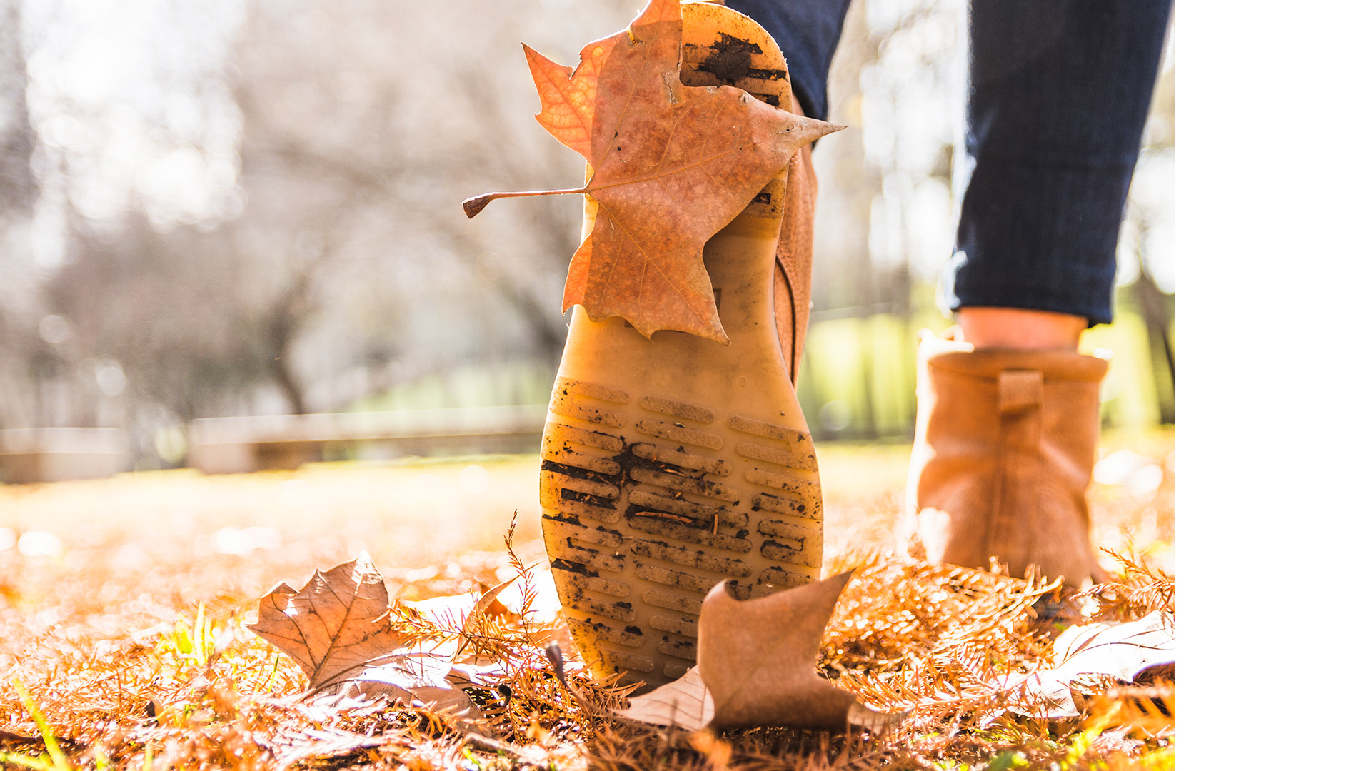 Понравилась осень. Пьедестал в листве. Туфелька в лесу.